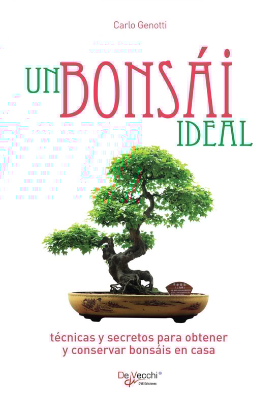 Un bonsái ideal