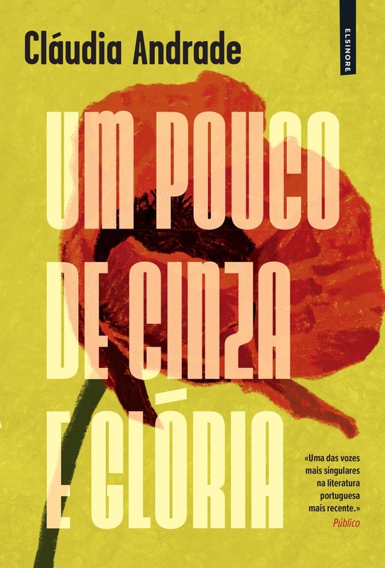 Um Pouco de Cinza e Glória