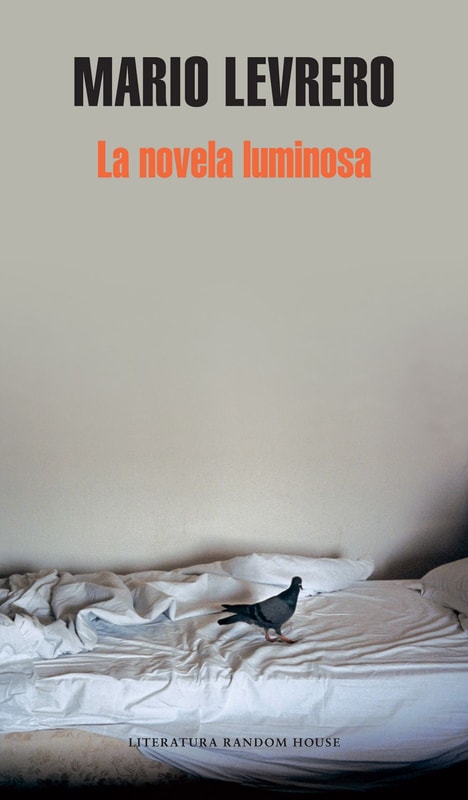 La novela luminosa