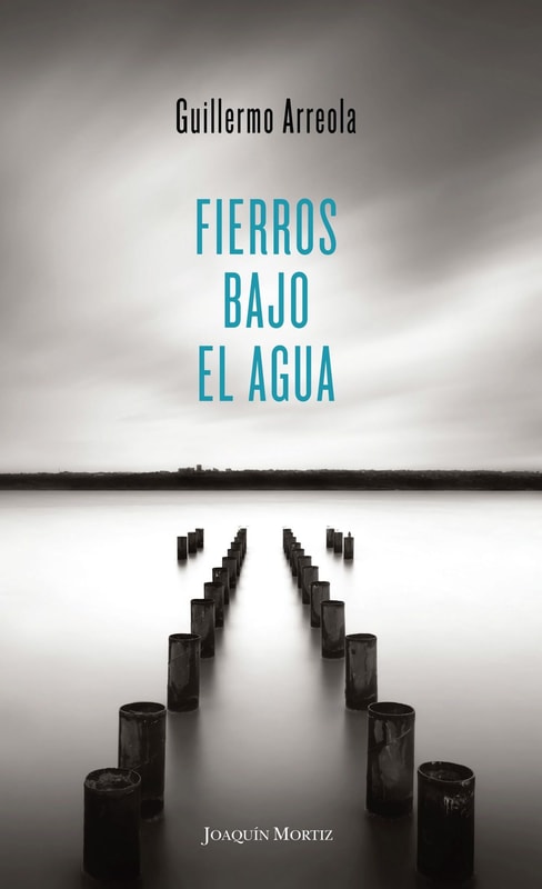 Fierros bajo el agua