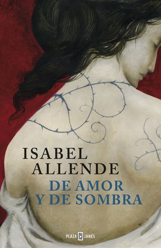 De amor y de sombra