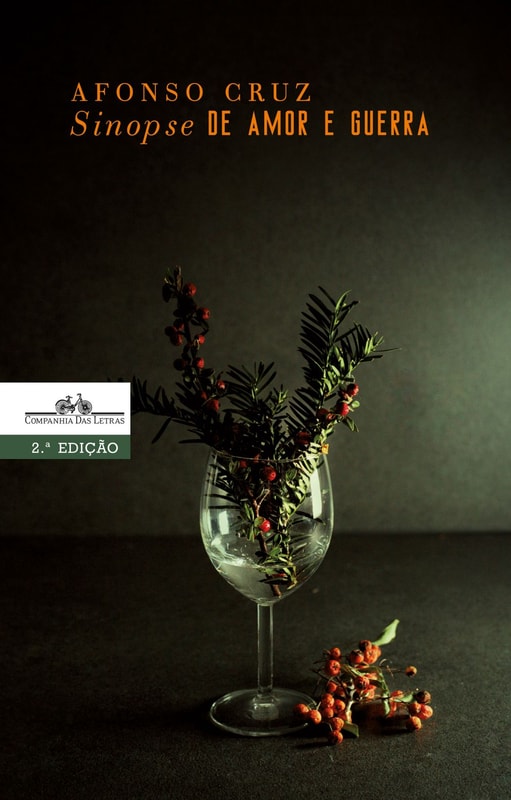 Sinopse de amor e guerra