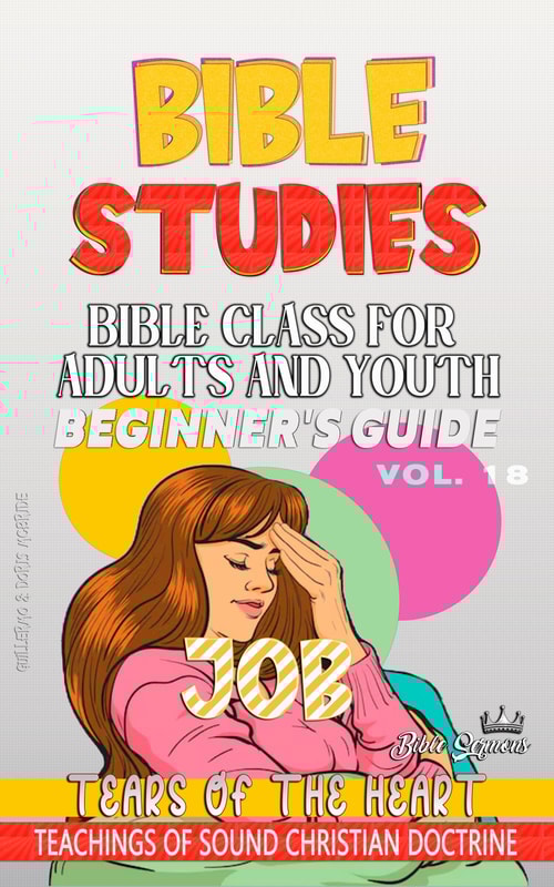 Bible Class for Adults and Youth: Beginner's Guide: Job (BIBLE CLASS FROM SCRATCH, #18)