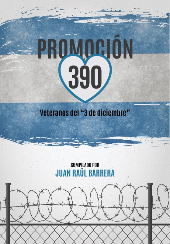 Promoción 390
