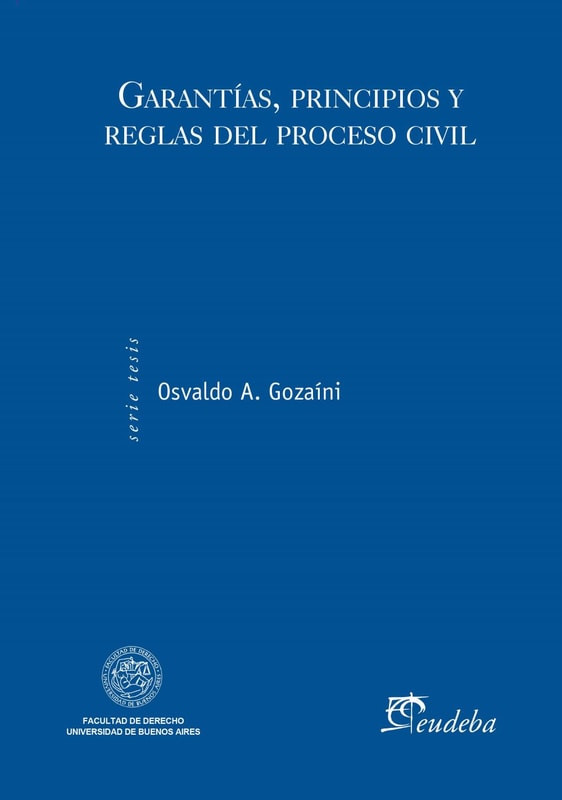 Garantías, principios y reglas del proceso civil