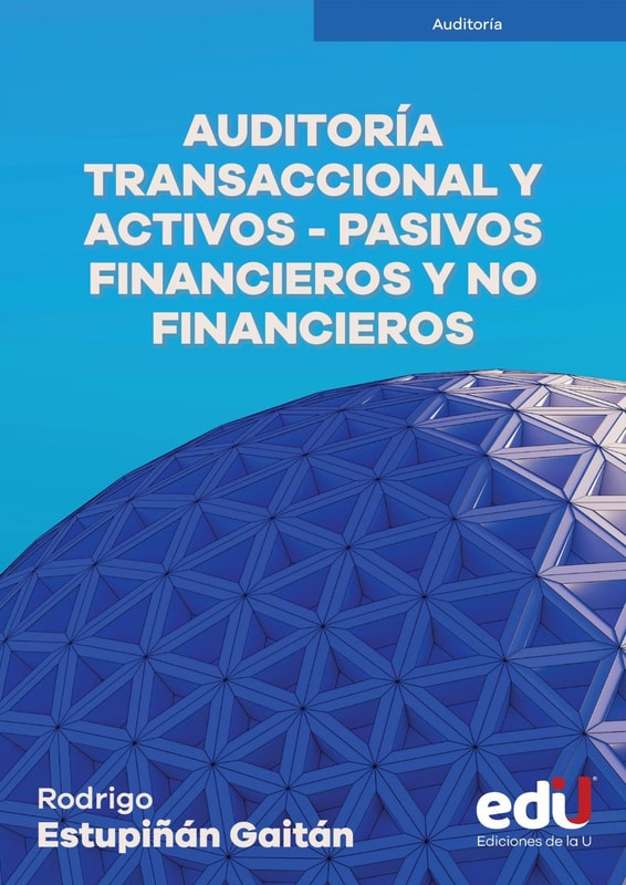 Auditoría transaccional y activos y pasivos financieros y no financieros