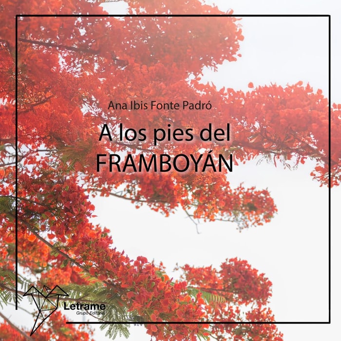 A los pies del Framboyán