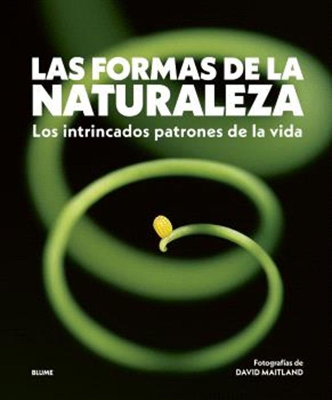 Las formas de la naturaleza