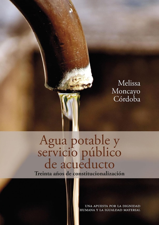 Agua potable y servicio público de acueducto: treinta años de constitucionalización