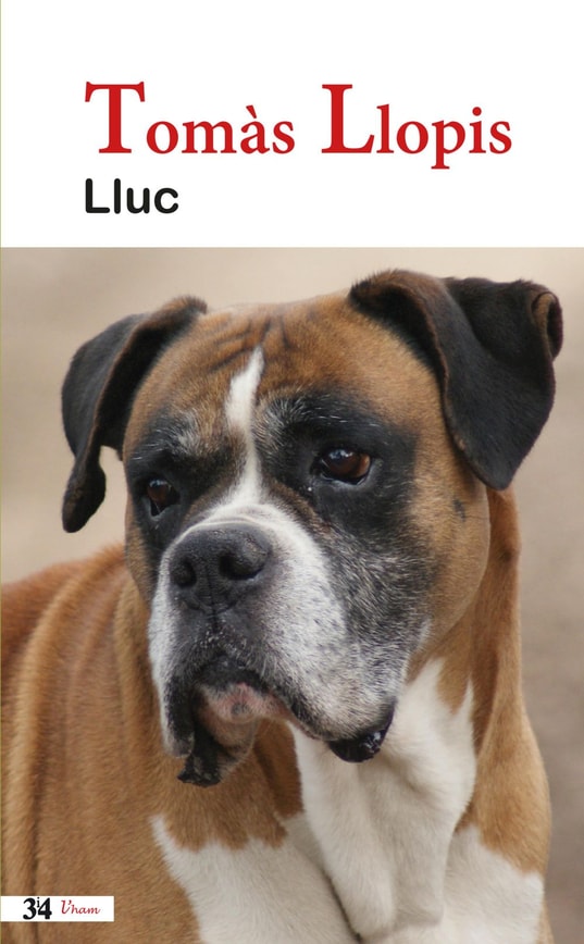 Lluc