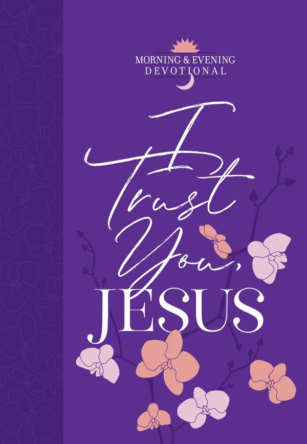 I Trust You Jesus