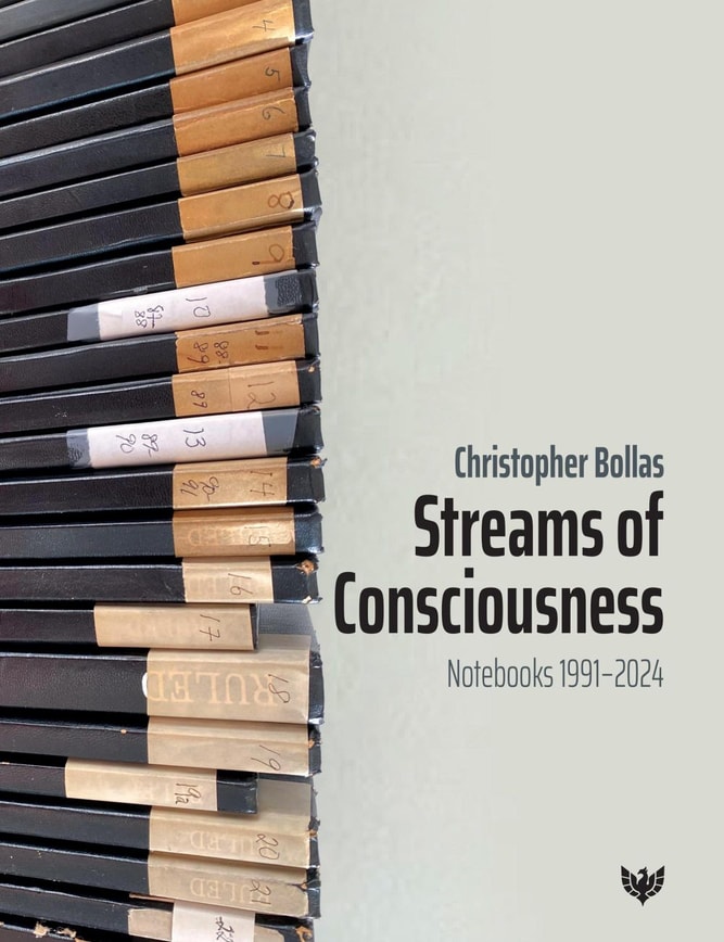 Streams of Consciousness