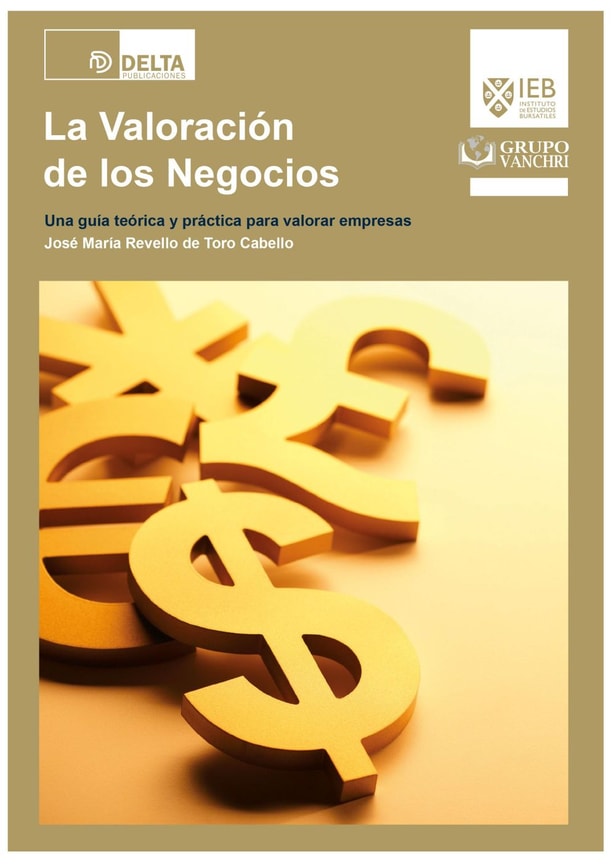 La valoracion de los negocios una guia teorica y practica  para valorar empresas