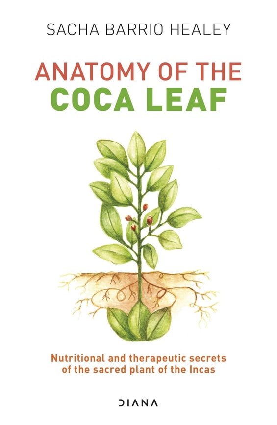 Anatomy of the Coca Leaf