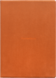 Funda 10,3'' Folio naranja magnética para el InkPad One
