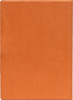 Funda 10,3'' Folio naranja magnética para el InkPad One