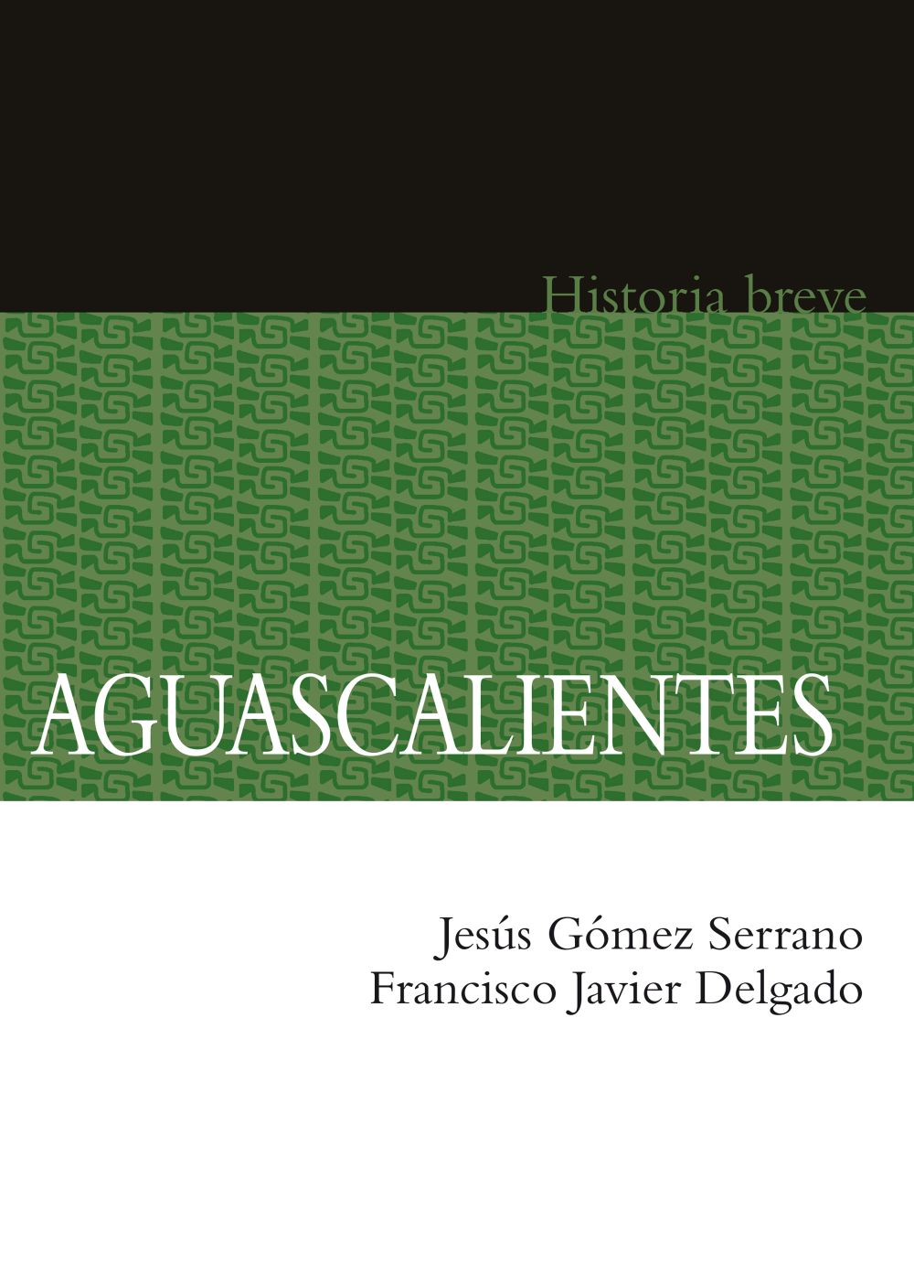 Aguascalientes. Historia breve