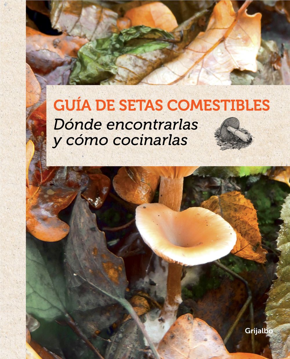 Guía de setas comestibles