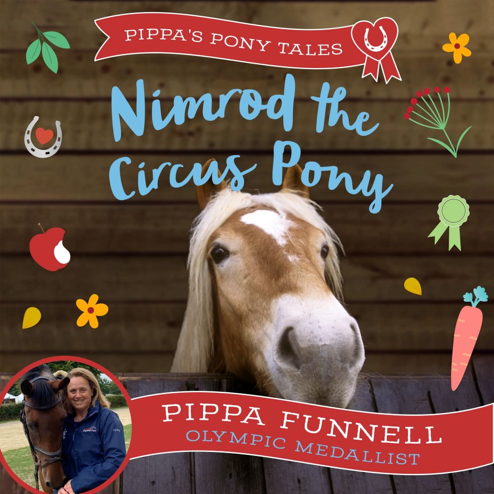 Nimrod the Circus Pony