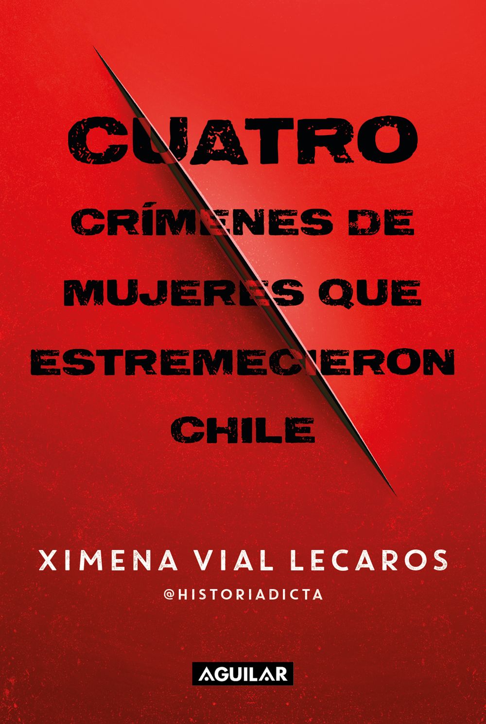Cuatro crímenes de mujeres que estremecieron Chile