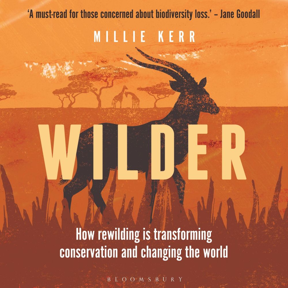 Wilder