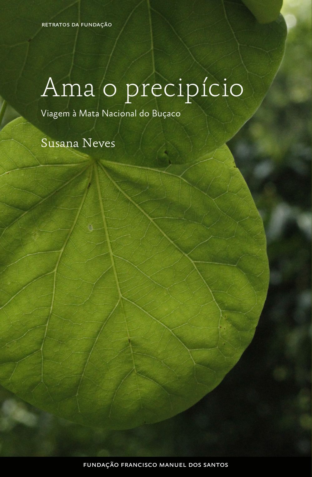 Ama o precipício, Viagem à Mata Nacional do Buçaco