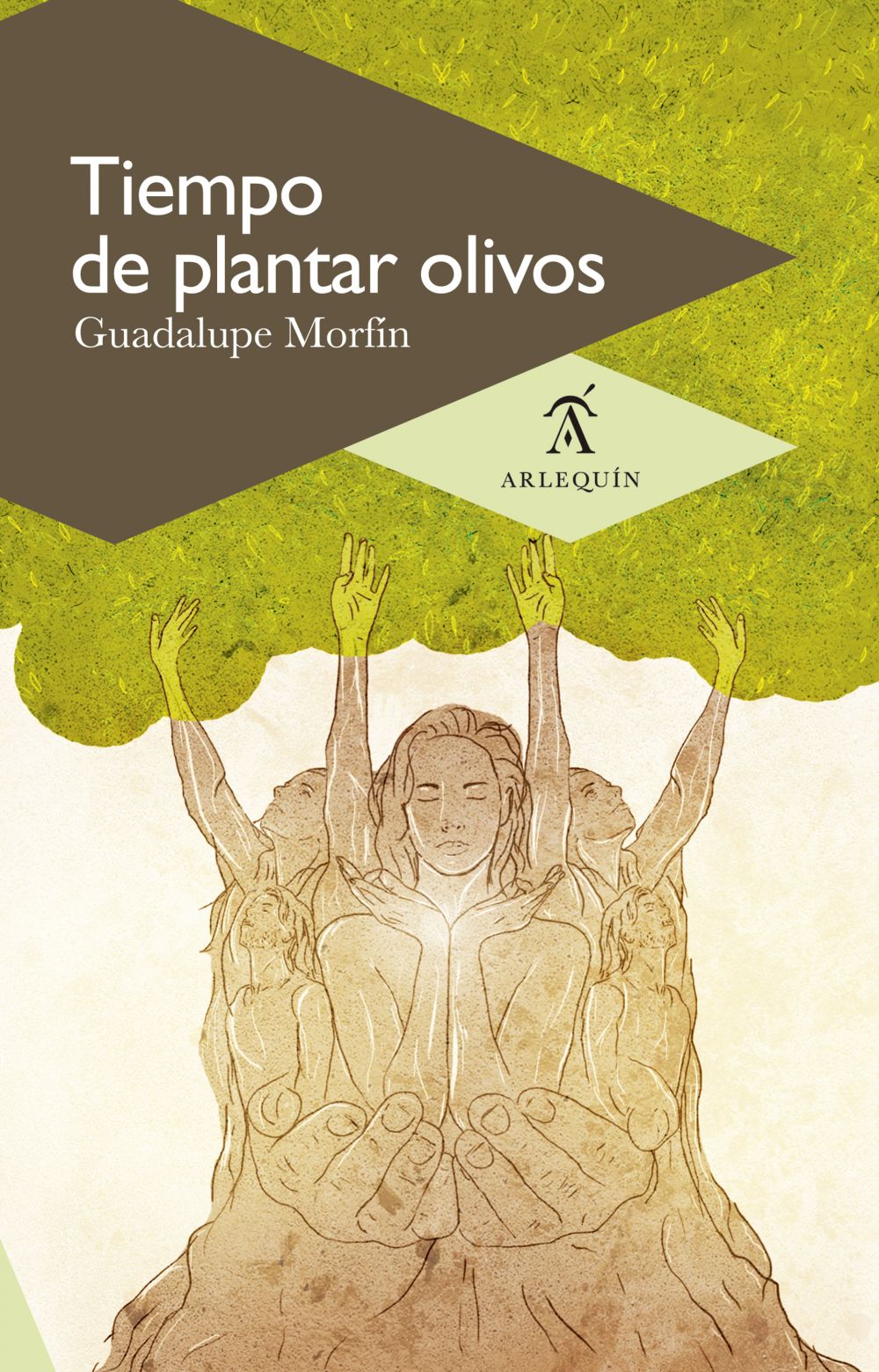 Tiempo de plantar olivos