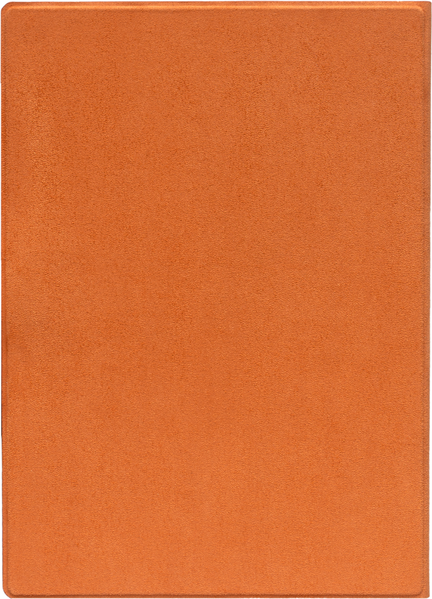 Funda 10,3'' Folio naranja magnética para el InkPad One